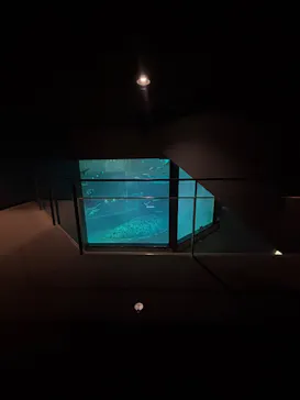 葛西臨海水族園に投稿された画像（2026/1/22）