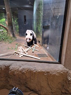 恩賜上野動物園に投稿された画像（2026/1/22）