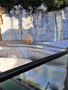 恩賜上野動物園に投稿された画像（2026/1/22）