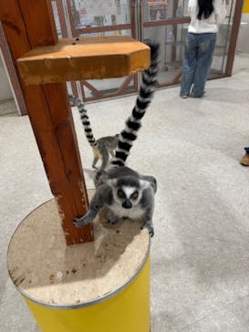 アニタッチ 東京ドームシティに投稿された画像（2026/1/22）