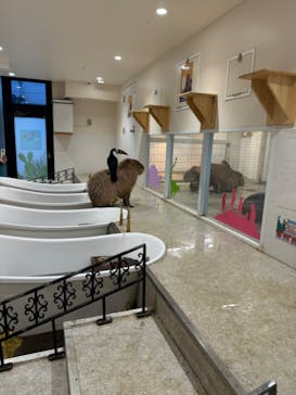 アニタッチ 東京ドームシティに投稿された画像（2026/1/22）