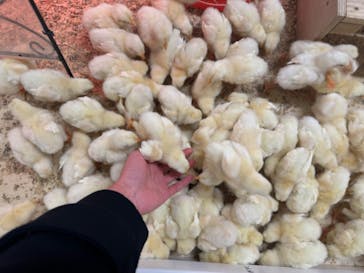 アニタッチ 東京ドームシティに投稿された画像（2026/1/22）