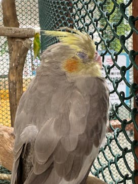 アニタッチ 東京ドームシティに投稿された画像（2026/1/22）