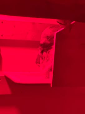 アニタッチ 東京ドームシティに投稿された画像（2026/1/22）