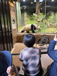 恩賜上野動物園に投稿された画像（2026/1/22）