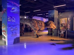 最強王図鑑フェスティバル in 東京タワーに投稿された画像（2026/1/22）