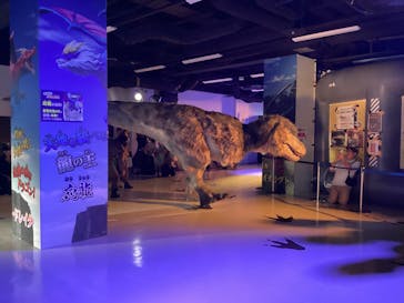 最強王図鑑フェスティバル in 東京タワーに投稿された画像（2026/1/22）