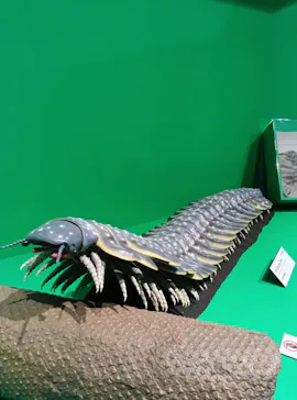 特別展「大絶滅展―生命史のビッグファイブ」に投稿された画像（2026/1/22）