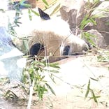 恩賜上野動物園に投稿された画像（2026/1/23）