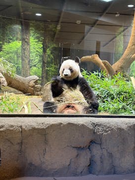 恩賜上野動物園に投稿された画像（2026/1/22）