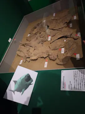 特別展「大絶滅展―生命史のビッグファイブ」に投稿された画像（2026/1/22）