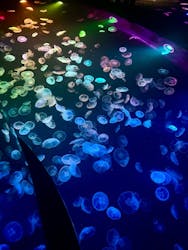 すみだ水族館に投稿された画像（2026/1/22）