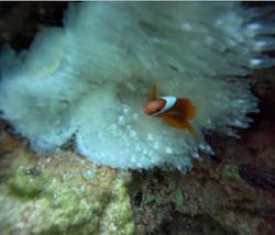 武藤潜水に投稿された画像（2026/1/23）