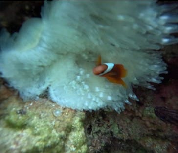 武藤潜水に投稿された画像（2026/1/23）