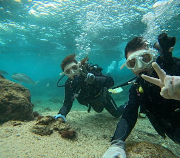 武藤潜水に投稿された画像（2026/1/23）