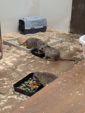 アニタッチみなとみらいに投稿された画像（2026/1/23）