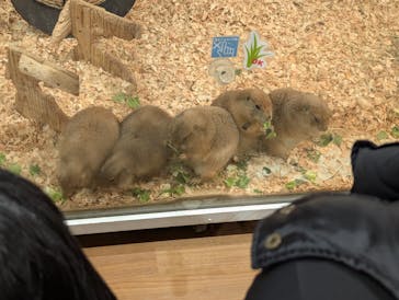 アニタッチみなとみらいに投稿された画像（2026/1/23）