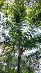 沖縄プロデュース カマダに投稿された画像（2026/1/23）