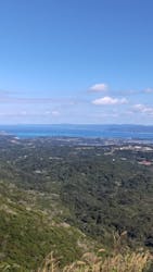 沖縄プロデュース カマダに投稿された画像（2026/1/23）