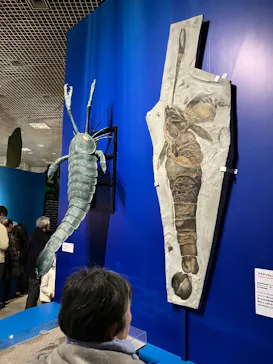 特別展「大絶滅展―生命史のビッグファイブ」に投稿された画像（2026/1/23）