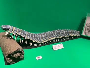 特別展「大絶滅展―生命史のビッグファイブ」に投稿された画像（2026/1/23）