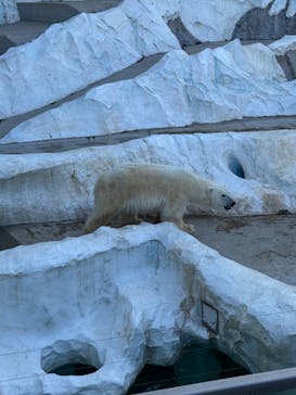 恩賜上野動物園に投稿された画像（2026/1/23）
