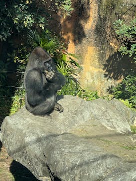 恩賜上野動物園に投稿された画像（2026/1/23）