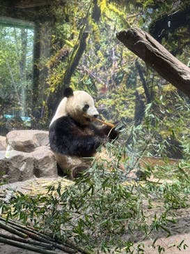 恩賜上野動物園に投稿された画像（2026/1/23）