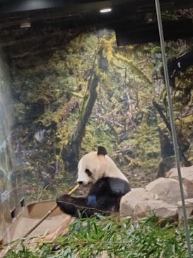 恩賜上野動物園に投稿された画像（2026/1/23）