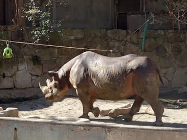 恩賜上野動物園に投稿された画像（2026/1/23）