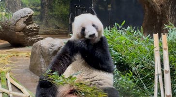 恩賜上野動物園に投稿された画像（2026/1/23）