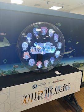 サンシャイン水族館に投稿された画像（2026/1/23）