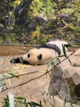 恩賜上野動物園に投稿された画像（2026/1/23）
