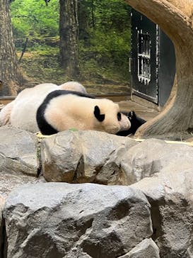 恩賜上野動物園に投稿された画像（2026/1/23）