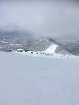 たざわ湖スキー場に投稿された画像（2026/1/23）