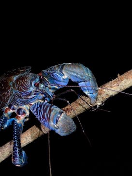 宮古島マリンショップSmileyに投稿された画像（2026/1/23）