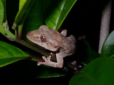 宮古島マリンショップSmileyに投稿された画像（2026/1/23）