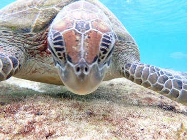 宮古島マリンショップSmileyに投稿された画像（2026/1/23）