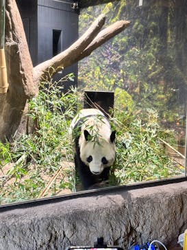 恩賜上野動物園に投稿された画像（2026/1/23）