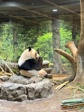 恩賜上野動物園に投稿された画像（2026/1/23）