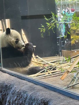 恩賜上野動物園に投稿された画像（2026/1/23）