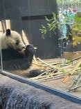 恩賜上野動物園に投稿された画像（2026/1/23）