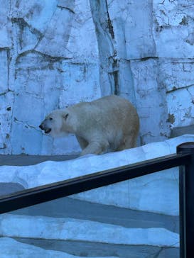 恩賜上野動物園に投稿された画像（2026/1/23）
