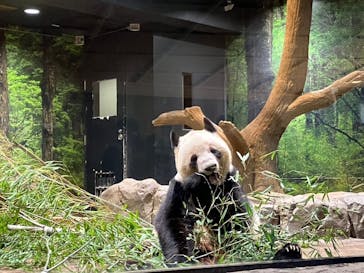 恩賜上野動物園に投稿された画像（2026/1/23）
