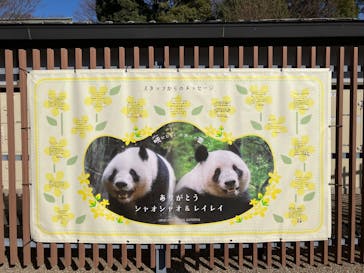 恩賜上野動物園に投稿された画像（2026/1/23）