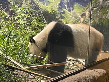 恩賜上野動物園に投稿された画像（2026/1/23）