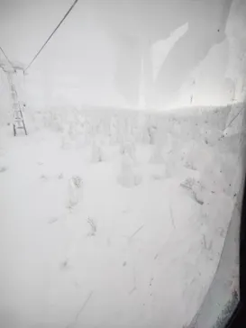 蔵王温泉スキー場に投稿された画像（2026/1/23）