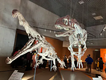 特別展「大絶滅展―生命史のビッグファイブ」に投稿された画像（2026/1/23）