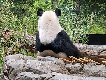 恩賜上野動物園に投稿された画像（2026/1/23）