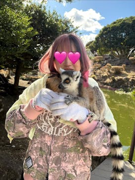 伊豆シャボテン動物公園に投稿された画像（2026/1/23）